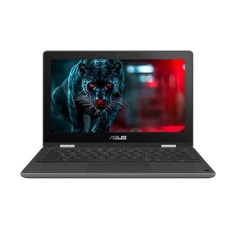 Asus Chromebook Flip C214