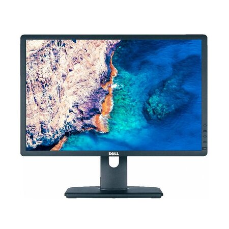 Dell Professional P2213