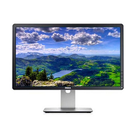 Dell Professional P2214H