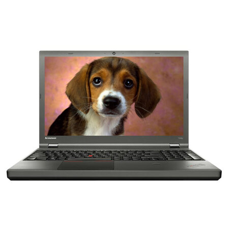 Lenovo ThinkPad T540p