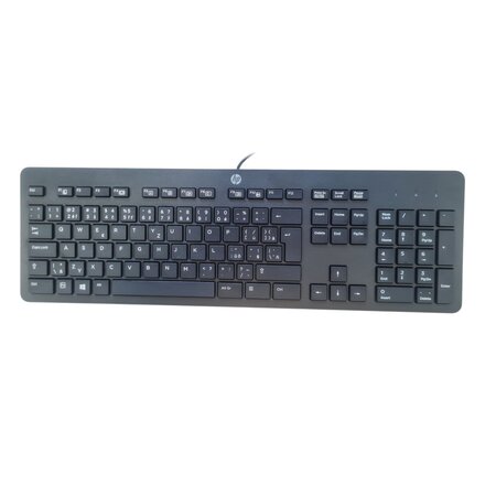 HP KU-1469 Slim Klávesnice, USB, CZ/SK - černá