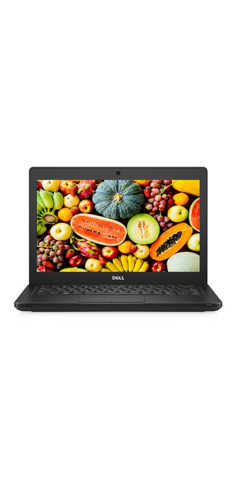 Dell Latitude 5290