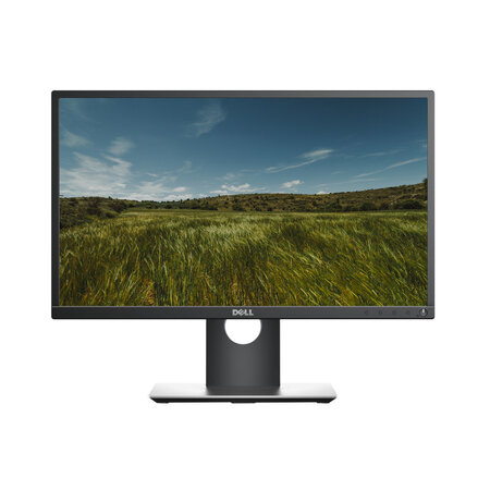 Dell Professional P2217H