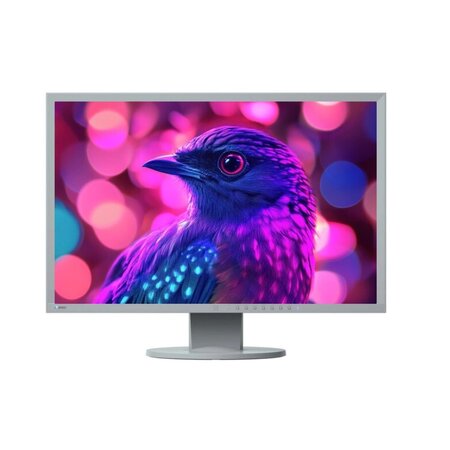 Eizo FlexScan EV2436W