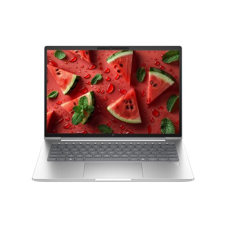 Notebook HP EliteBook 645 G11