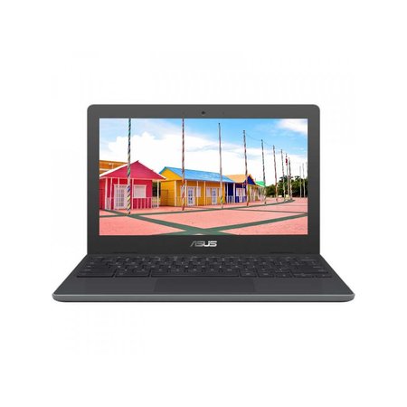 Asus Chromebook C204