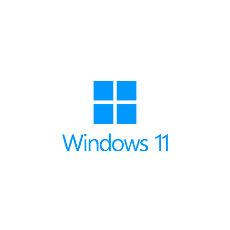Microsoft Windows 11 Professional CZ včetně instalace