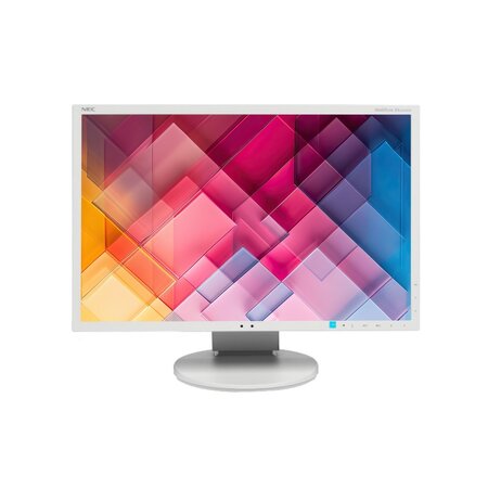 NEC MultiSync EA223WM