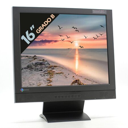 EIZO FlexScan L465