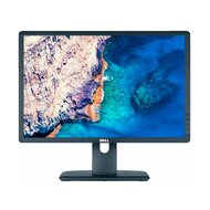 Dell Professional P2213