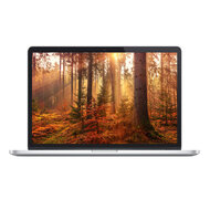 Apple MacBook Pro 15" (Early-2013)