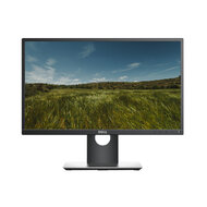 Dell Professional P2217H