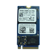 WD 256GB M.2 NVMe SSD 2242