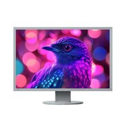 Eizo FlexScan EV2436W