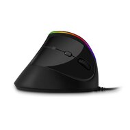 Connect IT Herní RGB ergonomická vertikální drátová myš - černá