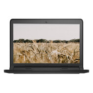 Dell Chromebook 11 3120