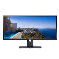 Dell UltraSharp U2913WM 29 palců Dell UltraSharp U2913WM 29 palců