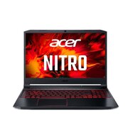 Acer Nitro 5 AN515-55